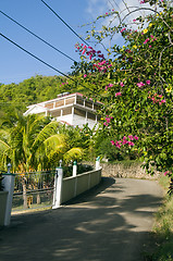 Image showing luxury house on road with flowers bequia