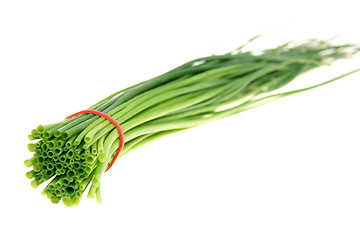 Image showing Fresh green chive 