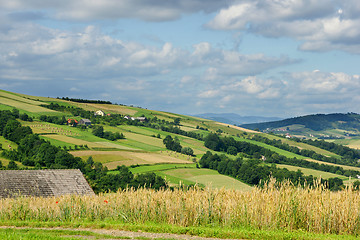 Image showing Rural landscape