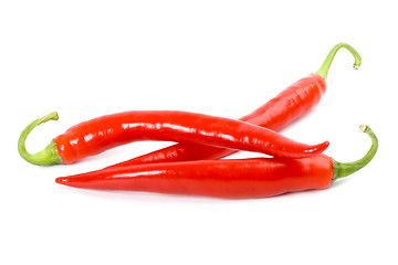 Image showing three red chilly peppers