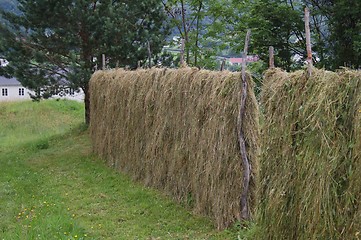 Image showing Hay-drying rack 16.07.2005