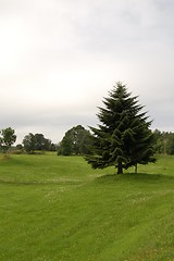 Image showing Norwegian landscape 17.07.2005