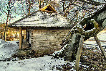 Image showing Fragment of the old barn at sunset by the old linden