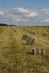 Image showing windfarm in green fields