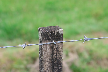 Image showing Fence post.