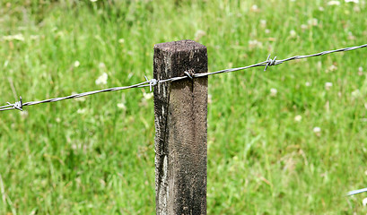Image showing Fence post.