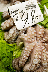 Image showing Rialto Fish Market