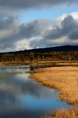 Image showing reflections in lake