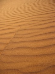 Image showing Sand dunes