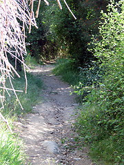 Image showing Nature trail. Platres. Cyprus