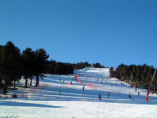 Image showing Green ski run