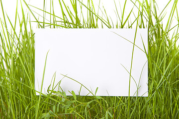 Image showing White Sign Amongst Grass 