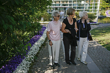 Image showing Seniors