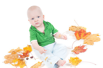 Image showing Little boy in studio