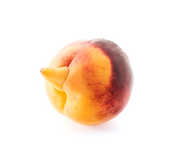 Image showing Peach male