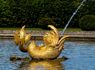 Image showing Golden Peterhof fountain dolphin