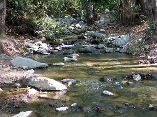 Image showing Peaceful stream. Platres. Cyprus