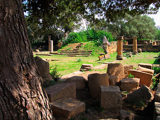 Image showing archeological roman site of  Tipasa