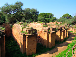 Image showing archeological roman site,Tipasa