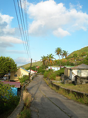 Image showing typical street scene bequia native house on road with coconut tr