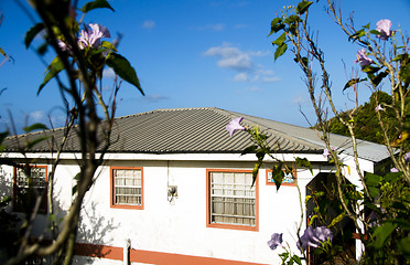 Image showing native style caribbean house with spectacular view of island of 