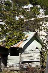 Image showing native house bequia st. vincent and the grenadines