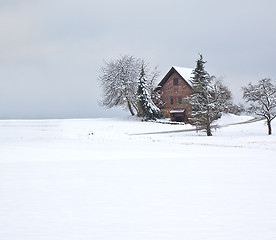 Image showing winter