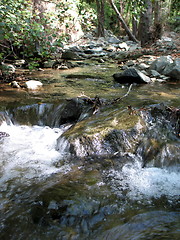 Image showing Flowing river. Platres. Cyprus
