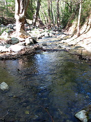 Image showing River waters. Platres. Cyprus