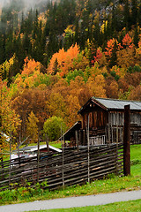 Image showing fall in the mountains