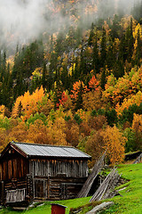 Image showing fall in the mountains