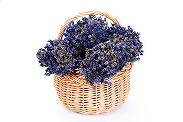 Image showing basket with lavender