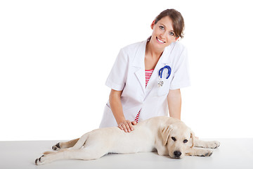 Image showing Veterinay taking care of a dog