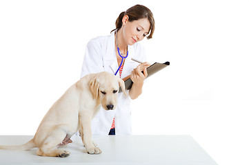 Image showing Veterinay taking care of a dog