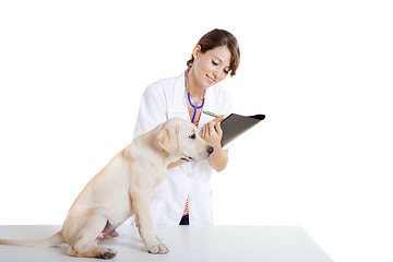 Image showing Veterinay taking care of a dog