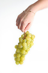 Image showing The grape