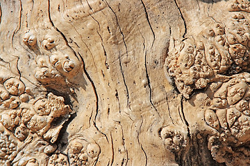 Image showing Wooden texture