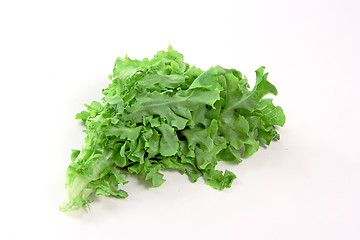 Image showing The green spinach 