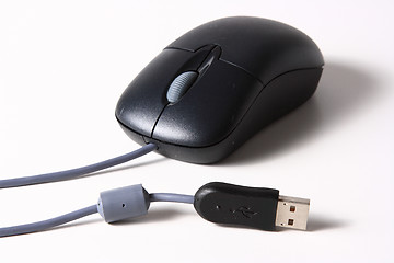 Image showing The computer mouse
