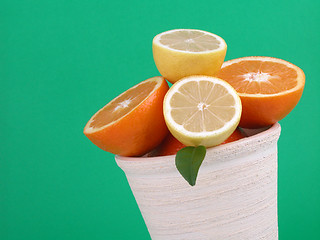 Image showing oranges and lemons
