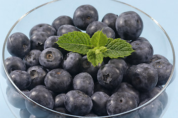 Image showing Blueberries