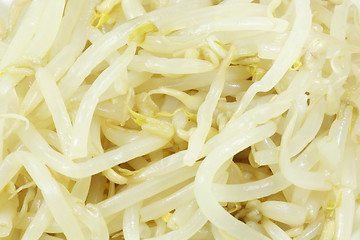 Image showing Soy sprouts