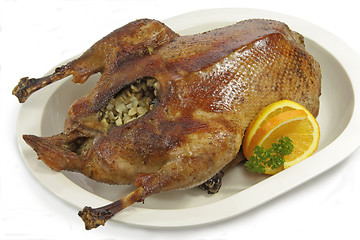 Image showing Stuffed goose