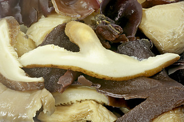 Image showing Asian mushrooms