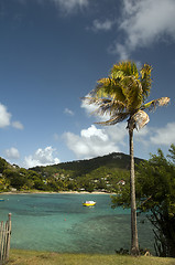 Image showing coconut tree with native fishing boat friendship bay bequia st. 