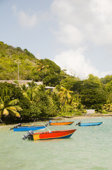 Image showing fishing boats friendship bay la pompe bequia st. vincent and the