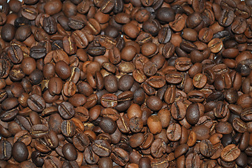 Image showing Coffee Beans 