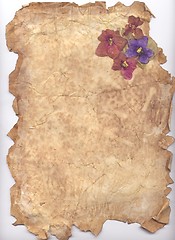 Image showing Aged paper and violets