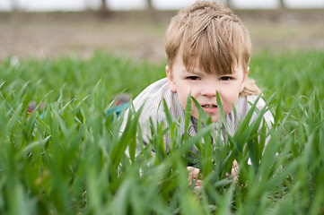 Image showing Boy in grass