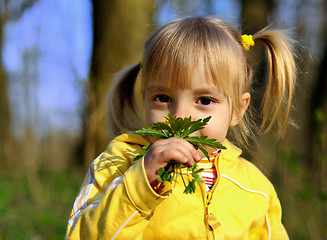 Image showing Little girl and wild flowers